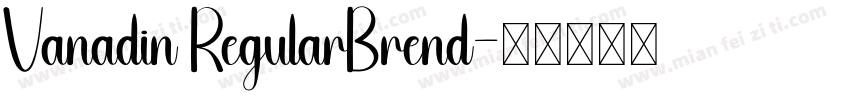 Vanadin RegularBrend字体转换